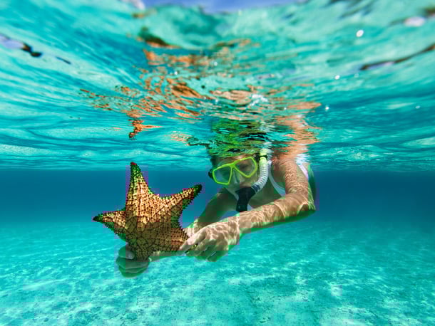 Non-Motorized Water Sports
